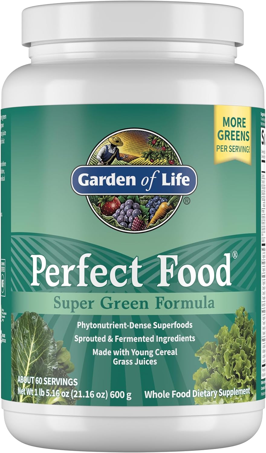 Garden Of Life Perfect Food Super Green Formula - 14 Servings | 45 Superfoods, Greens, Fruit & Veggie Juice Superfood Powder Supplement, Probiotics & Organic Spirulina For Digestion & Immune Health