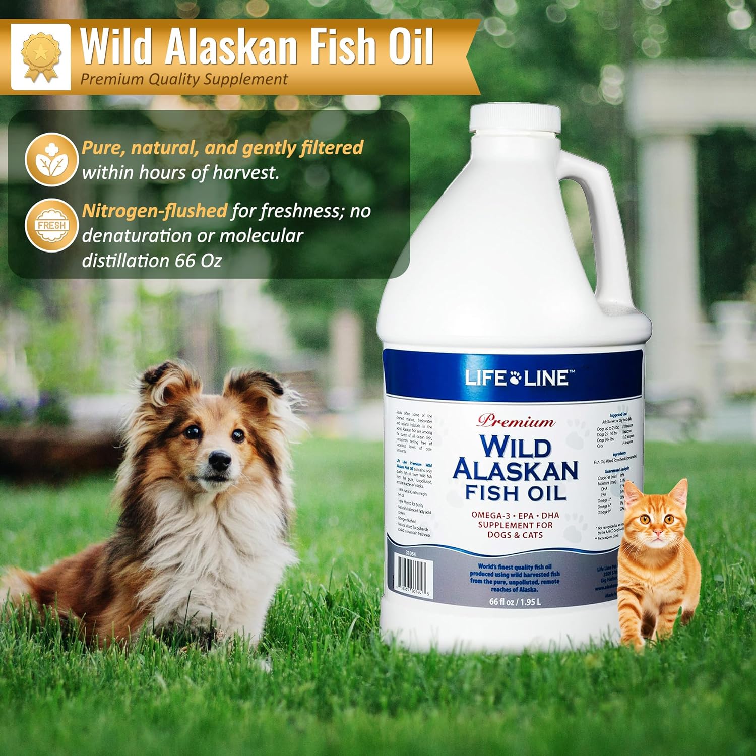 Life Line Pet Nutrition Wild Alaskan Fish Oil Omega-3 Supplement for Skin & Coat – Supports Brain, Eye & Heart Health in Dogs & Cats, 66oz : Pet Fish Oil Nutritional Supplements : Pet Supplies