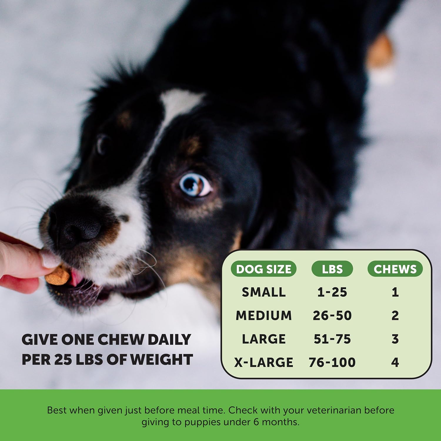 Pet Honesty Probiotics for Dogs, Dog Probiotics for Diarrhea & Bowel Support, Digestive Enzymes Promotes Gut Health, Immunity Health & Itch Relief, Prebiotics and Probiotics (Duck 90 ct) : Pet Supplies