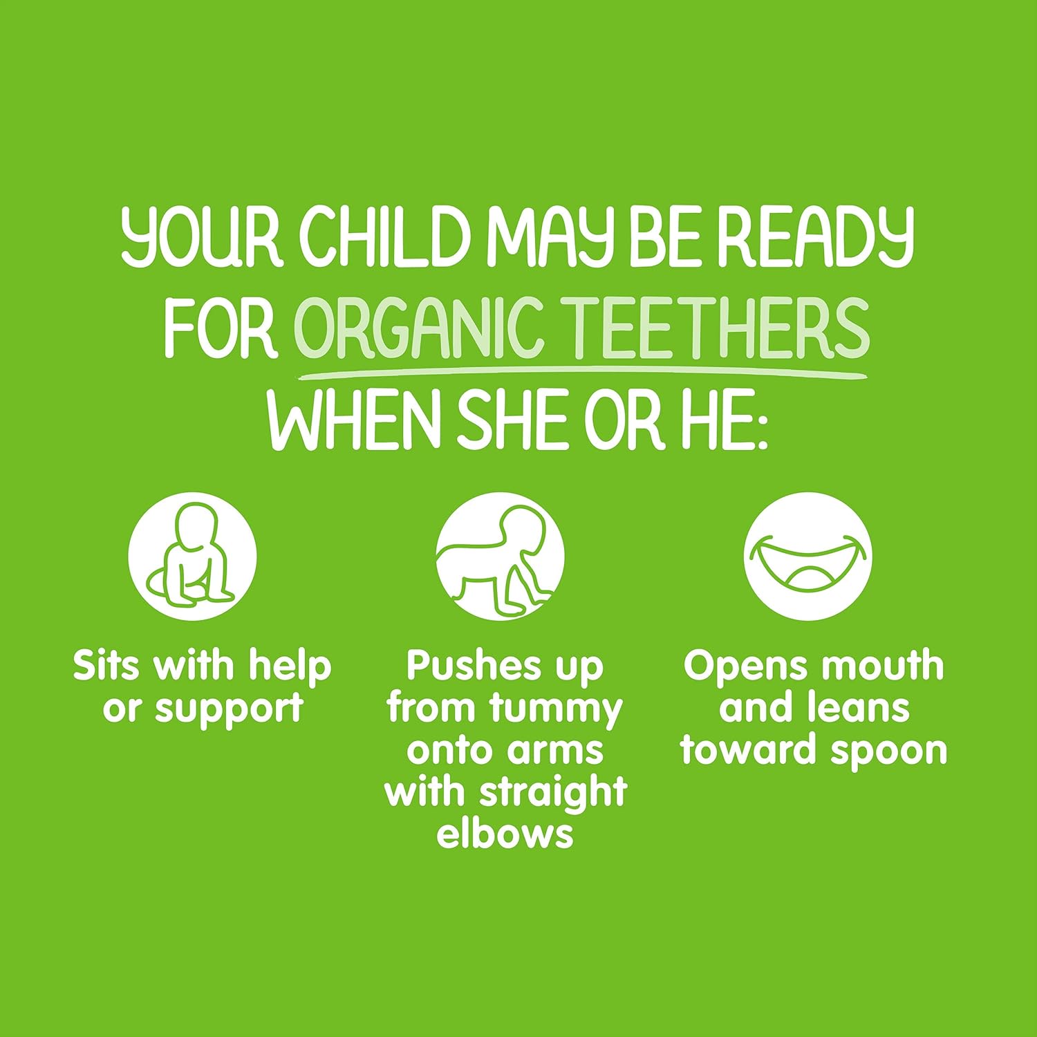 Happy Baby Organics Teether, Pea & Spinach, 12 Count (Pack of 6) : Everything Else