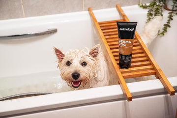 Animology Derma Dog Fragrance Free Mild Dog Shampoo 250Ml