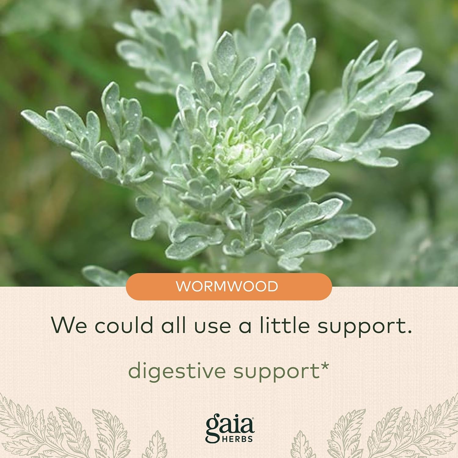 Gaia Herbs Wormwood Black Walnut Supreme, 1 fl oz (30 ml) : Health & Household