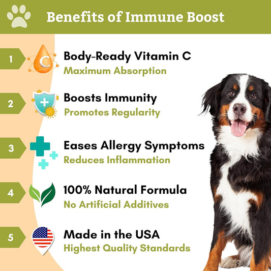 Wholistic Pet Organics Allergy Immune Boost: Vitamin C for Dogs Skin and Coat Supplement - 1 lb - Dog Allergy Relief Medication for Dogs - Dog Itch Relief - Ester C Dogs Supplement and Vitamin Powder