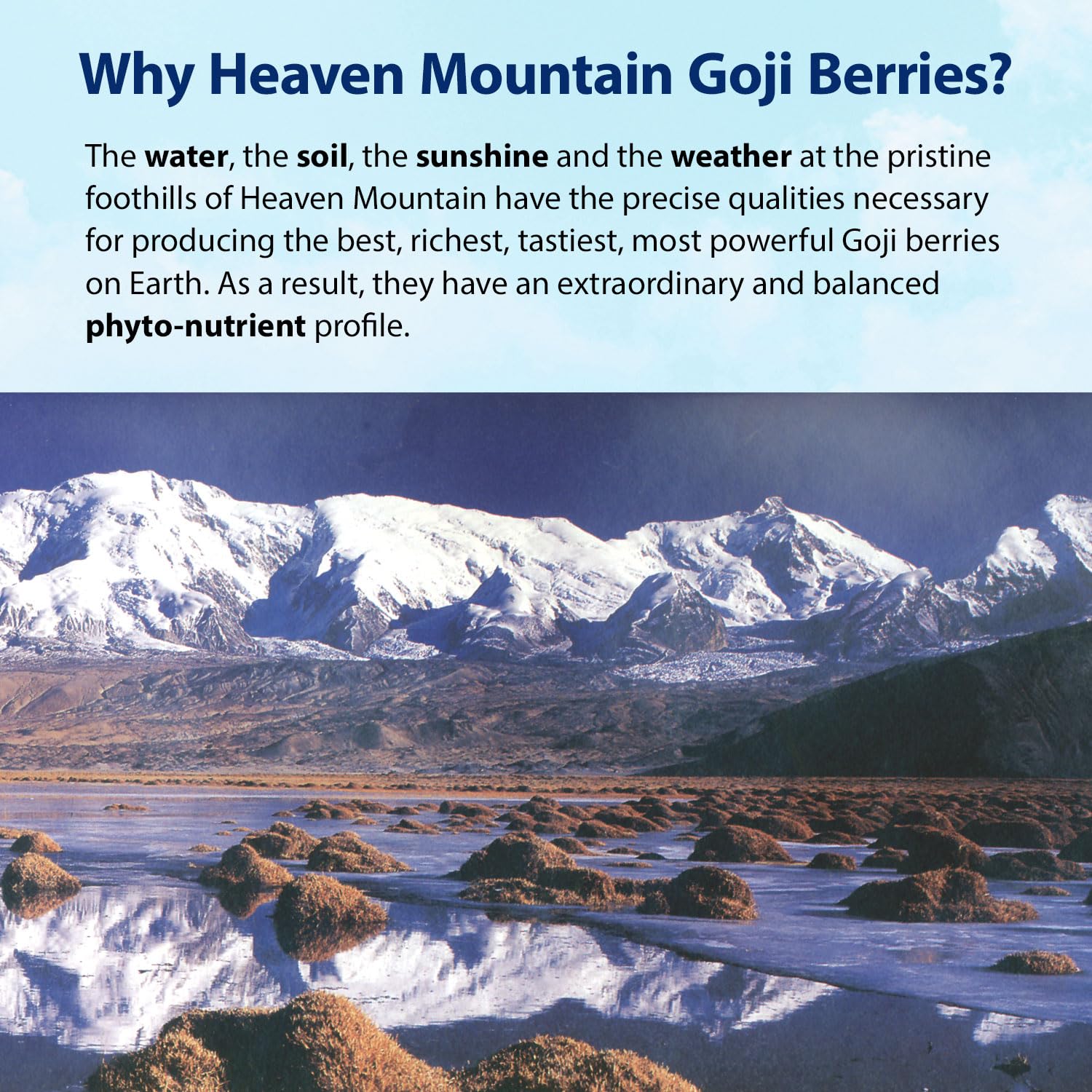 Dragon Herbs Heaven Mountain Goji Berries 8 Oz. (227G), Moist, Fight Stress, Gain Strength, Eye Vision Tonic, All Natural Ingredients : Grocery & Gourmet Food