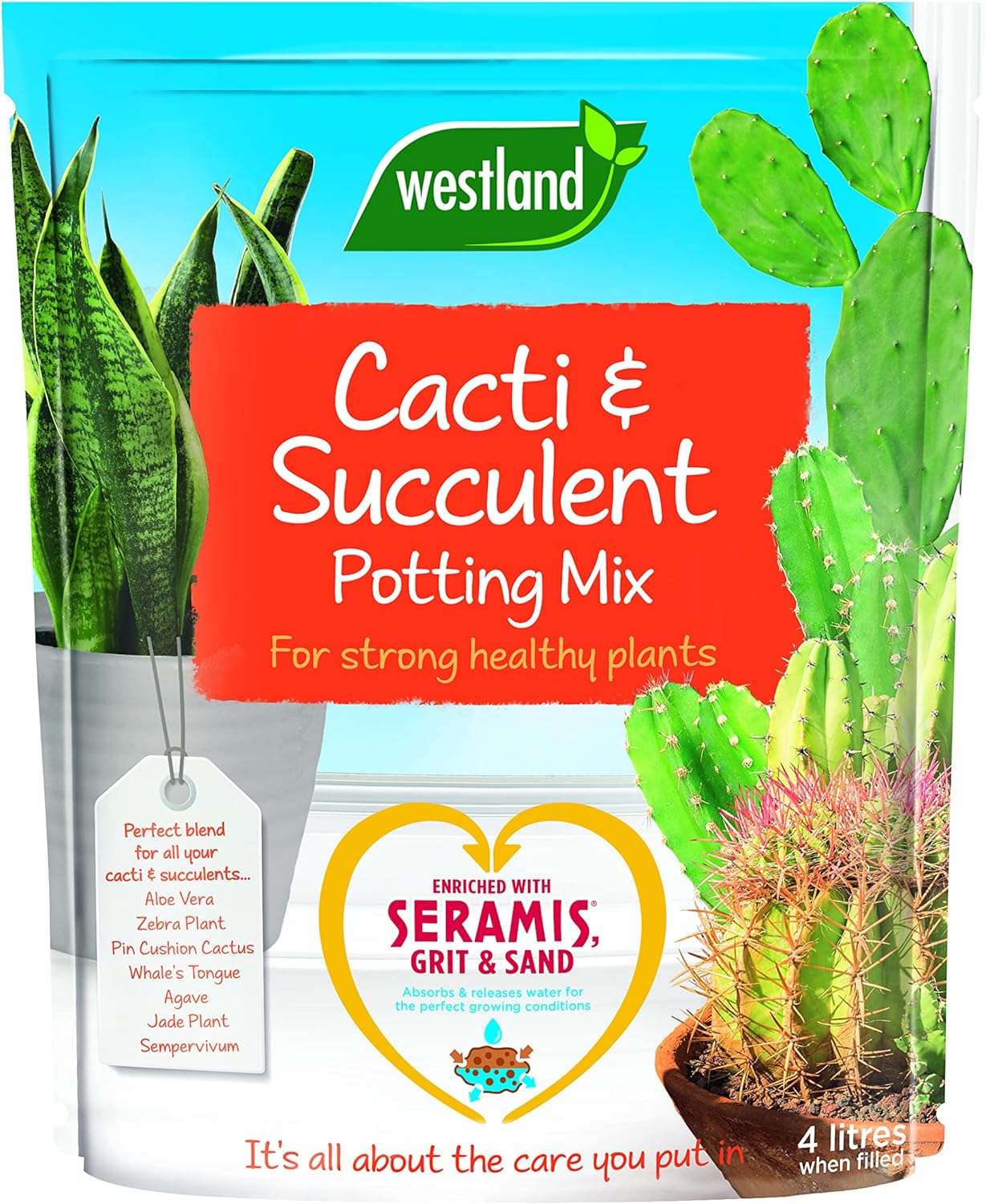 Westland 10200054 Cacti/Succulent Potting Compost Mix and Enriched with Seramis, 4 liters, Brown?10200054