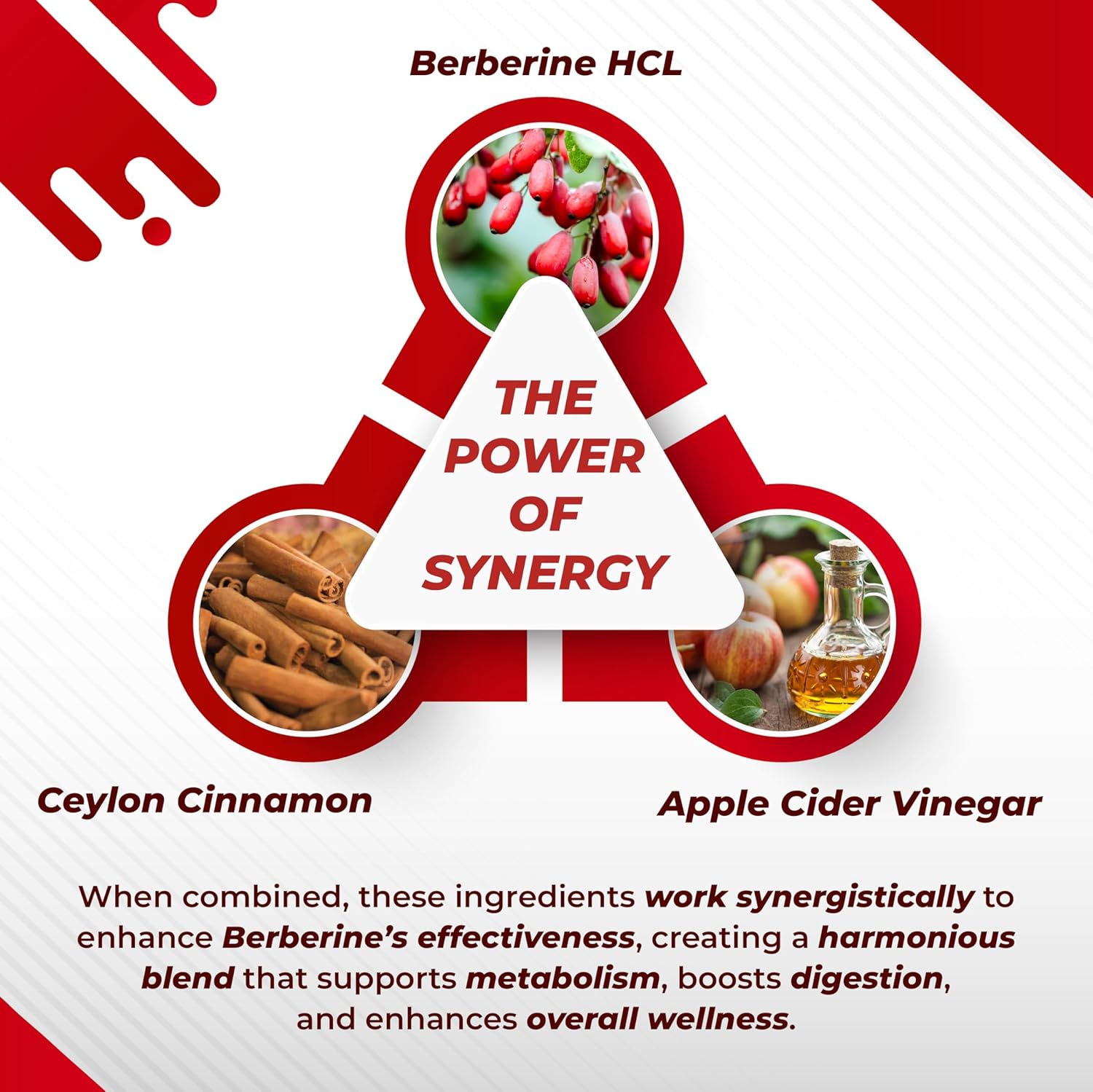 Berberine 14-In-1 Supplement With Ceylon Cinnamon Apple Cider Vinegar Turmeric Bitter Melon Holy Basil Milk Thistle Fenugreek Gymnema Banaba - Made In The Usa