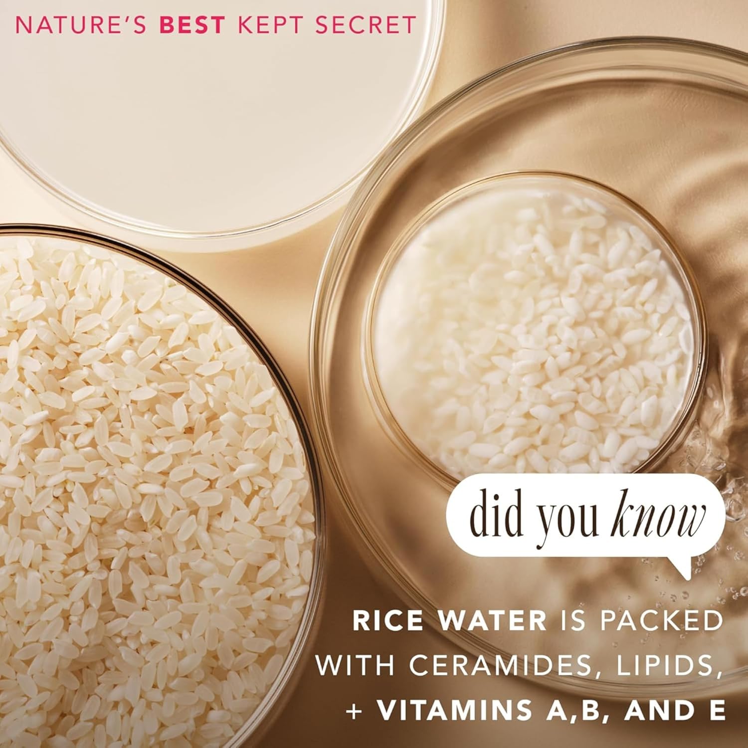 The Face Shop Rice Water Bright Vegan Eye Cream - Eye Cream for Dark Circles - Dark Circles Under Eye Treatment - Under Eye Brightener - Hydrating - Niacinamide - Hyaluronic Acid - Korean Skin Care : Beauty & Personal Care