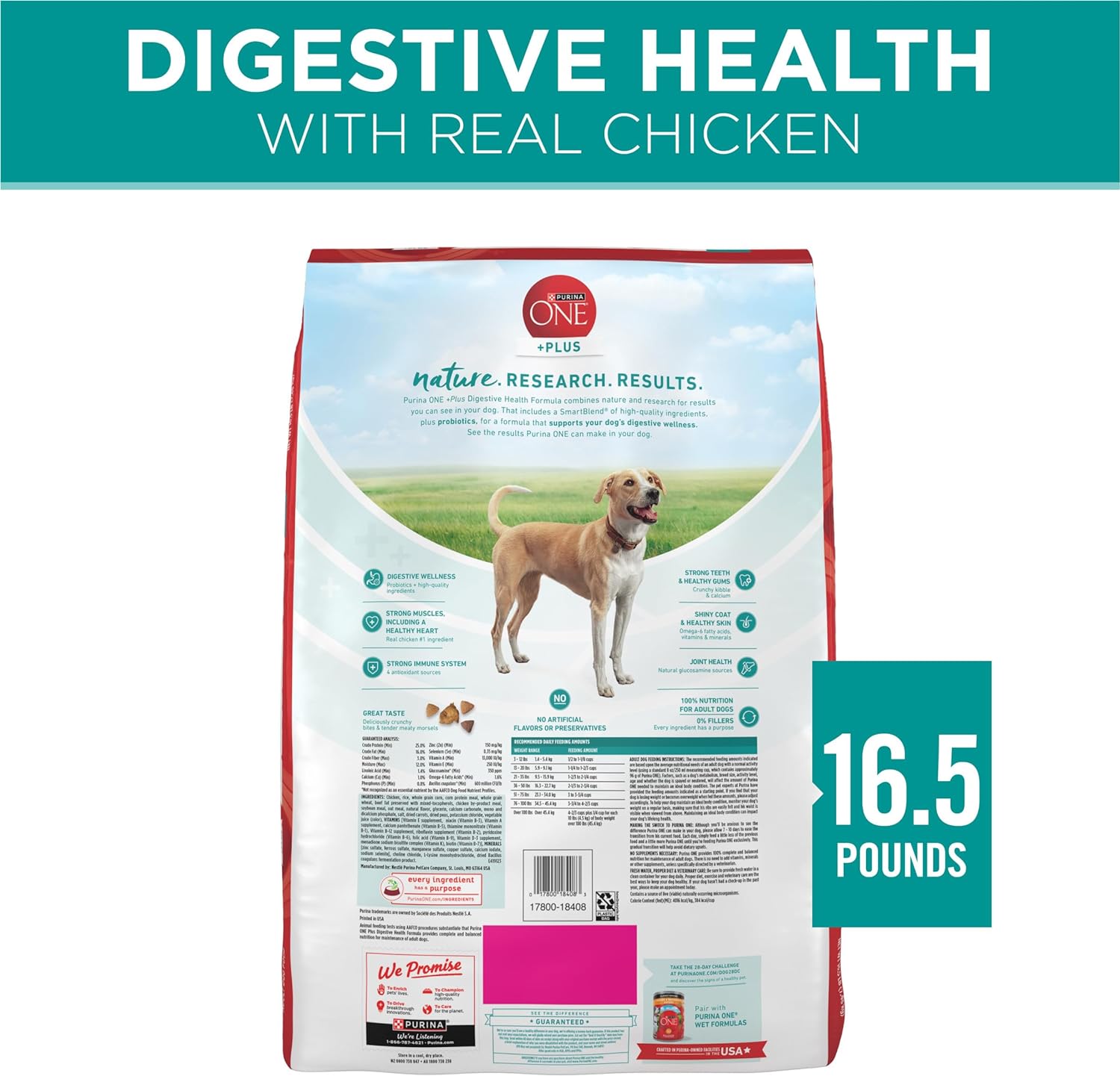 Purina One Plus Digestive Health Formula Dry Dog Food Natural with Added Vitamins, Minerals and Nutrients - 16.5 lb. Bag : Pet Supplies