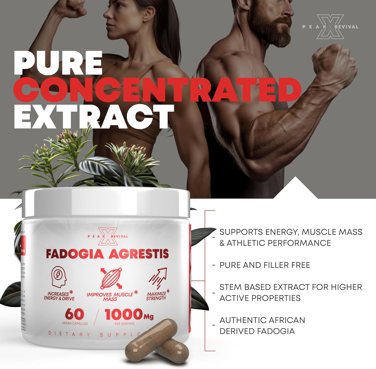 Peak Revival-X Fadogia Agrestis 1000mg Per Serving Supplement - Potent Extract to Increase Energy, Athletic Performance & Muscle Mass - Supplements, Made in The USA (60 Capsules) : Health & Household