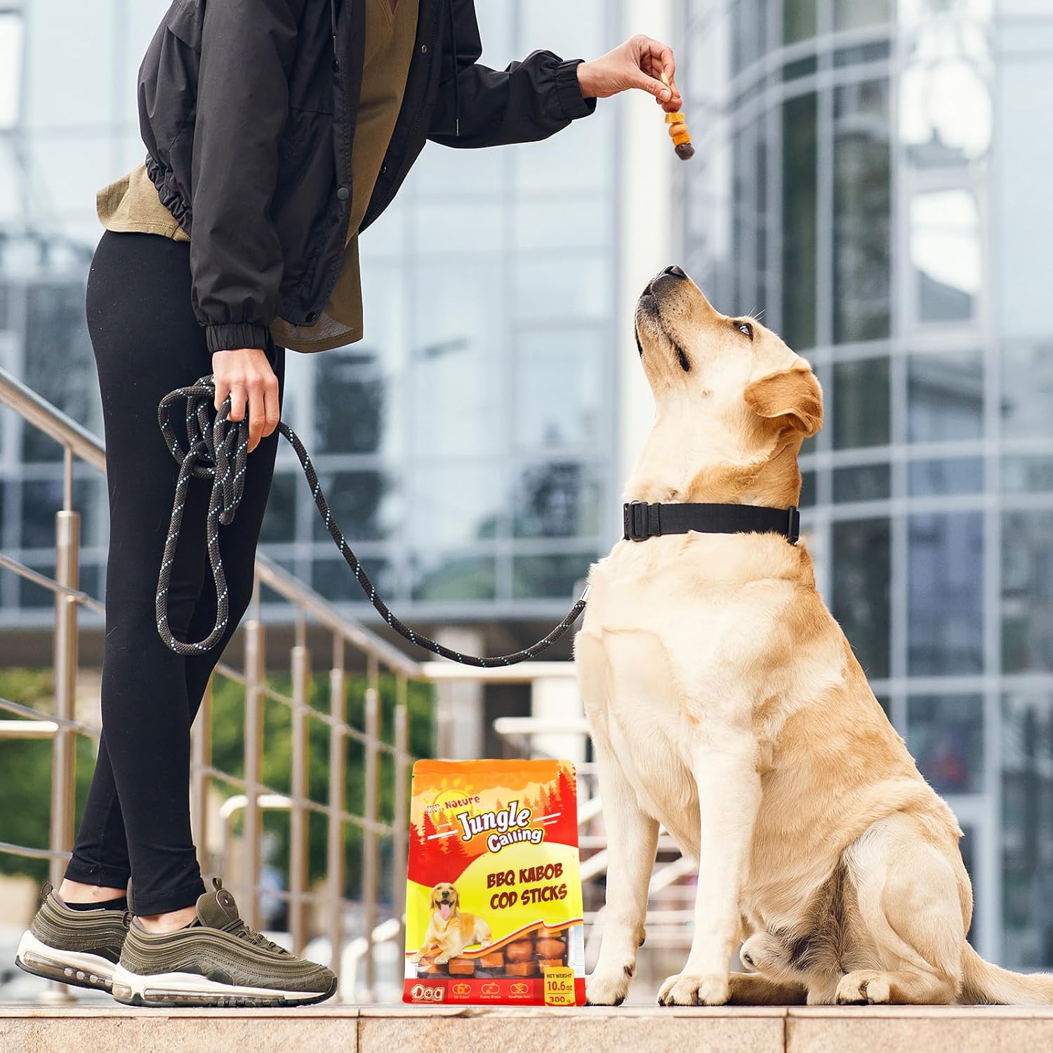 Jungle Calling Dog Treats, Dog Kabob with Cod Stick, Rawhide-Free Dog Chews, Made with Chicken, Duck, Beef, Sweet Potato and Pumpkin : Pet Supplies