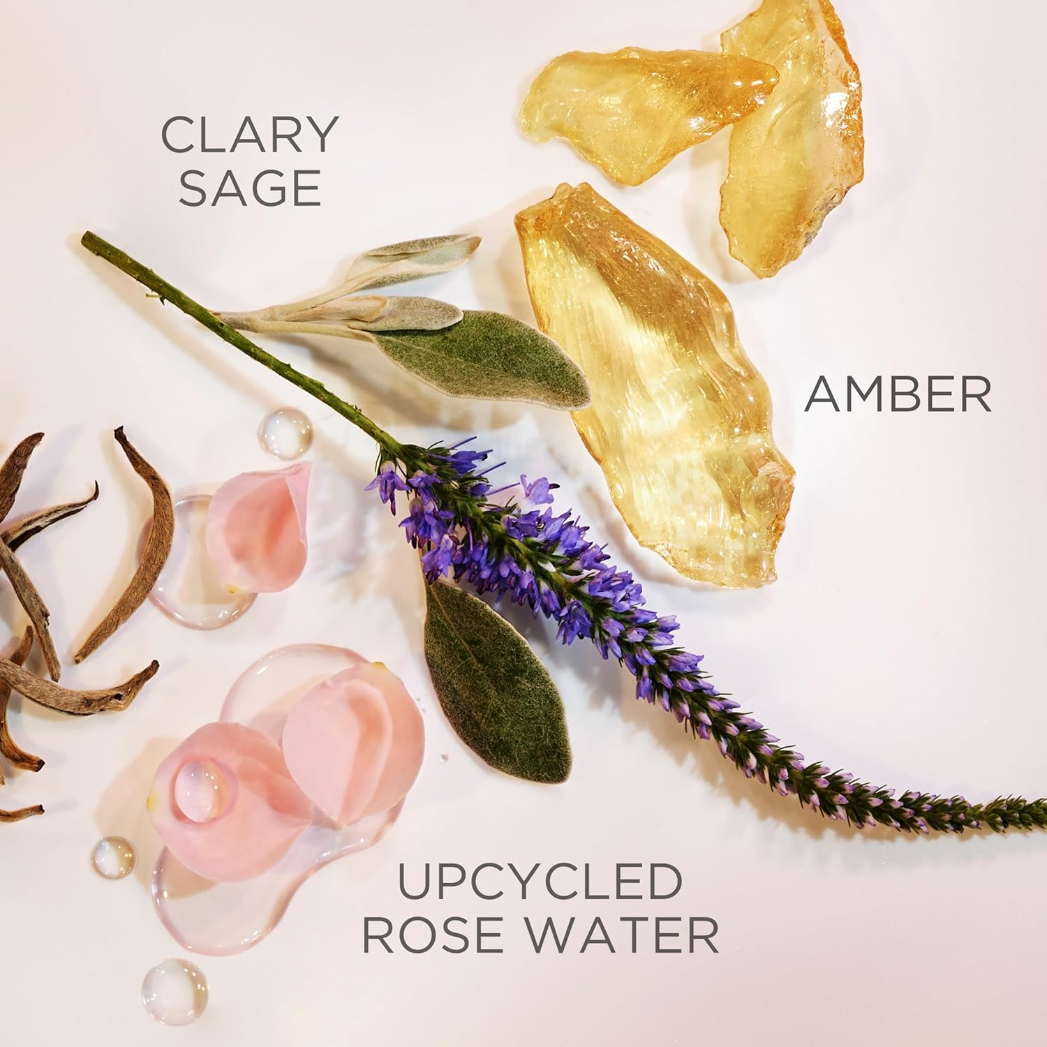 Elizabeth Arden White Tea Eau De Parfum 1.7 Fl Oz (Pack Of 1) : Beauty & Personal Care