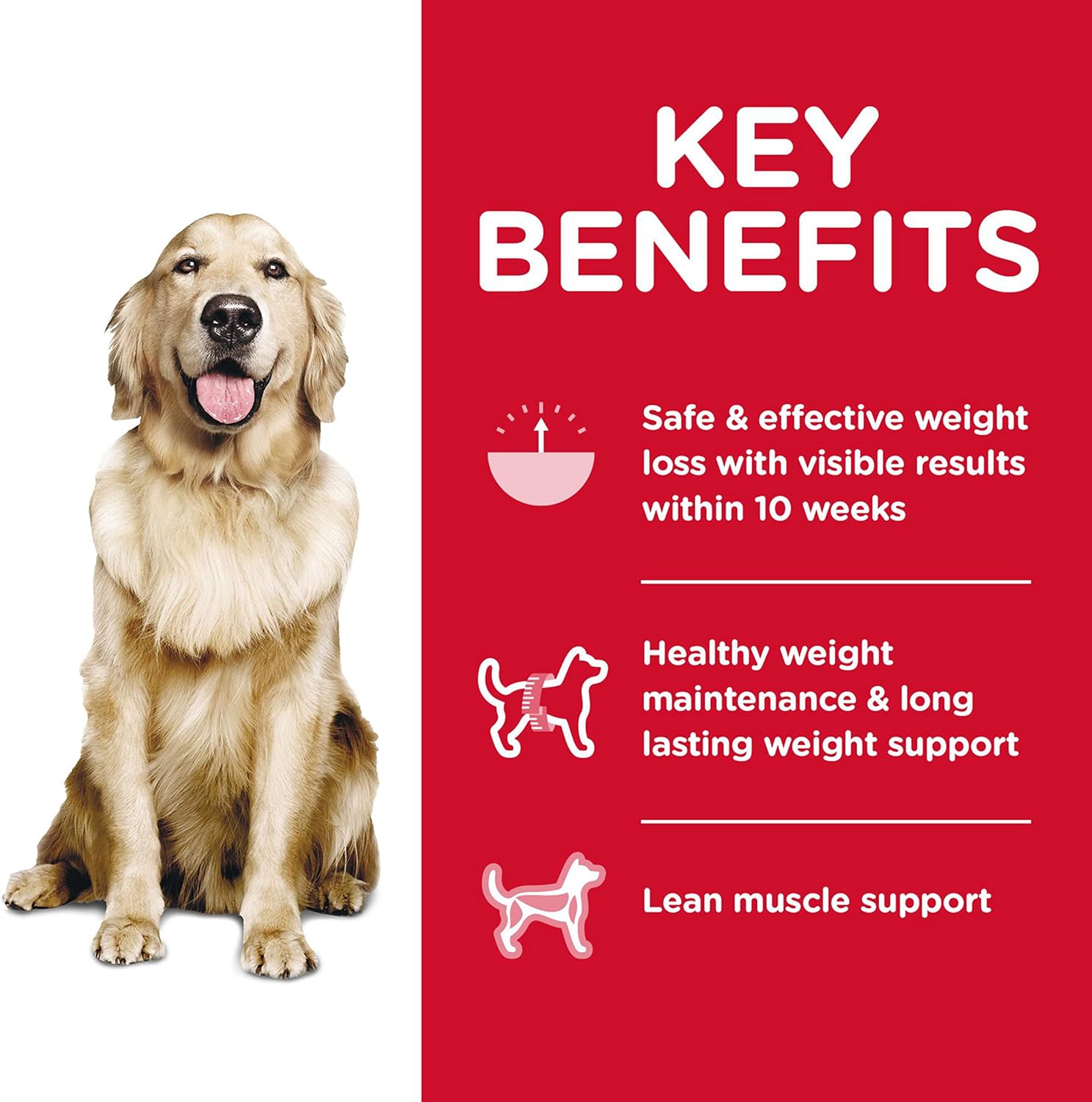 Hill's Science Diet Perfect Weight, Adult 1-6, Weight Management Support, Dry Dog Food, Chicken Recipe, 12 lb Bag