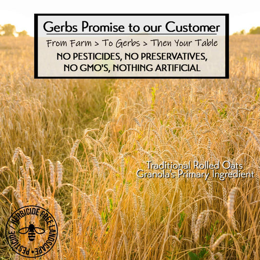 Gerbs Original Seed n' Honey Granola, 4 LBS. - Top 14 Food Allergy Free & Non GMO - Keto Safe - Made in Rhode Island …