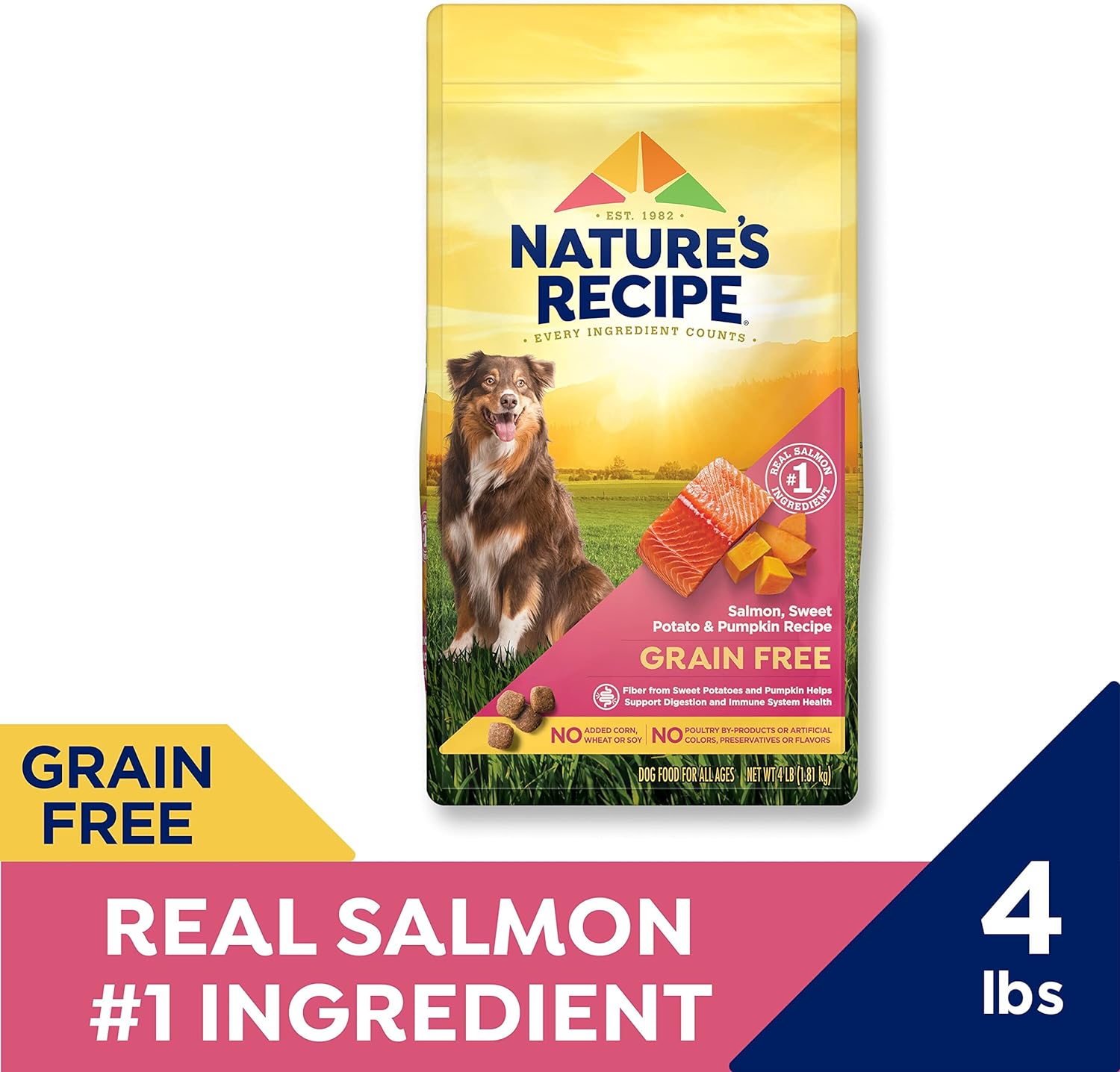 Nature?s Recipe Grain Free Salmon, Sweet Potato & Pumpkin Recipe Dry Dog Food, 4 lb. Bag : Pet Supplies