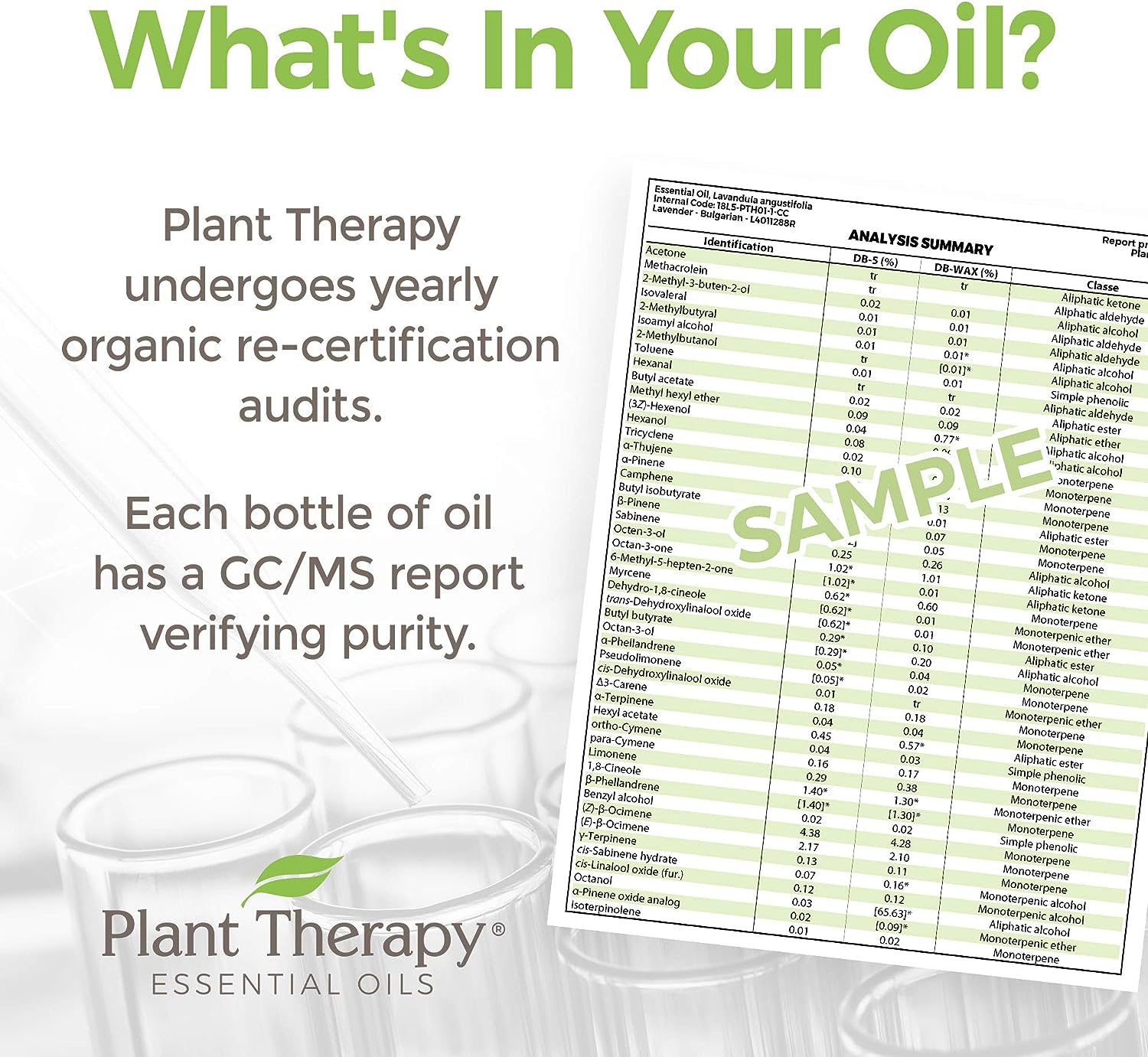 Plant Therapy Organic Roman Chamomile Essential Oil 5 mL (1/6oz) 100% Pure, Undiluted, Therapeutic Grade : Health & Household