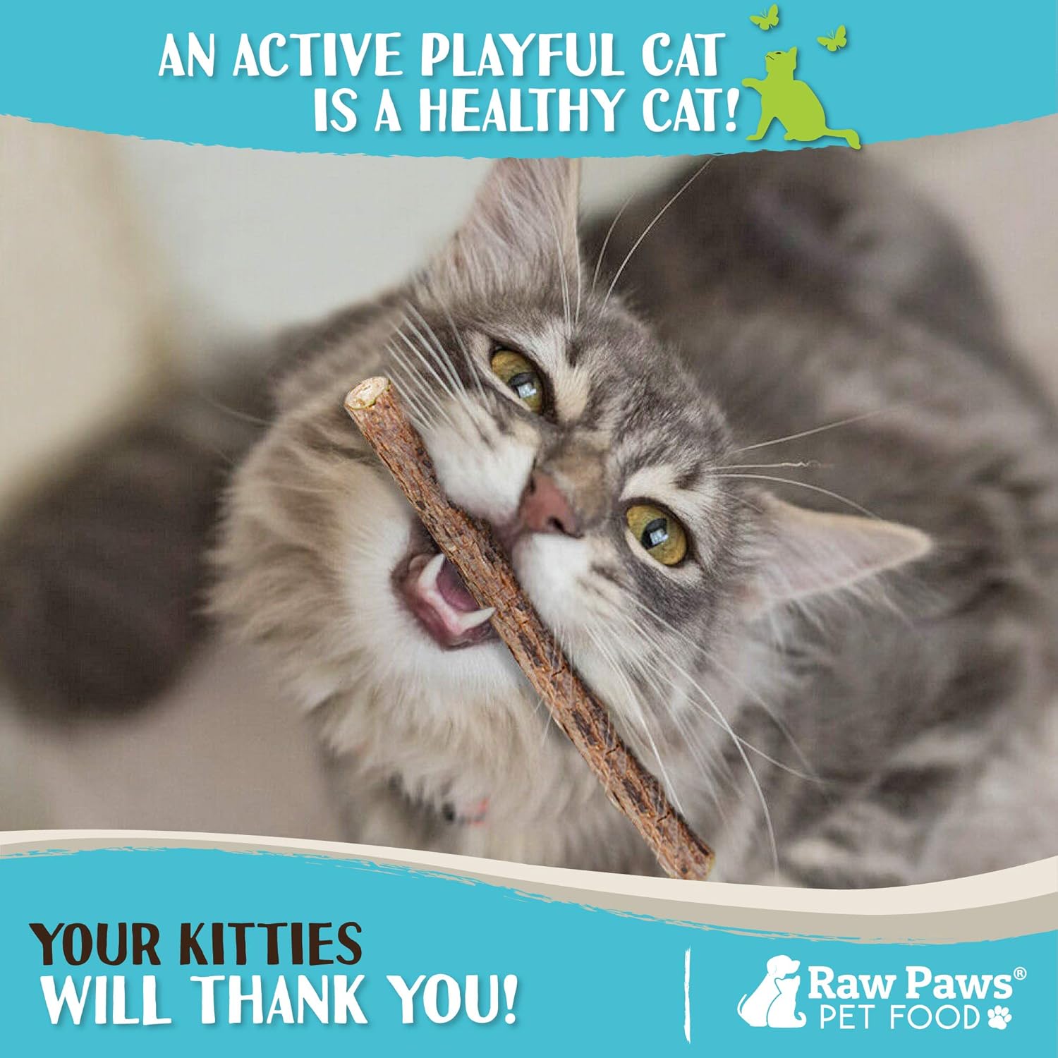 Raw Paws Silvervine Sticks, 30 ct - Silvervine Cat Toys for Indoor Cats - Catnip Sticks - Matatabi Cat Chew Stick - Silvervine for Cats, Silver Vine Sticks Cat Kicker Toy, Cat Toy Silvervine : Pet Supplies