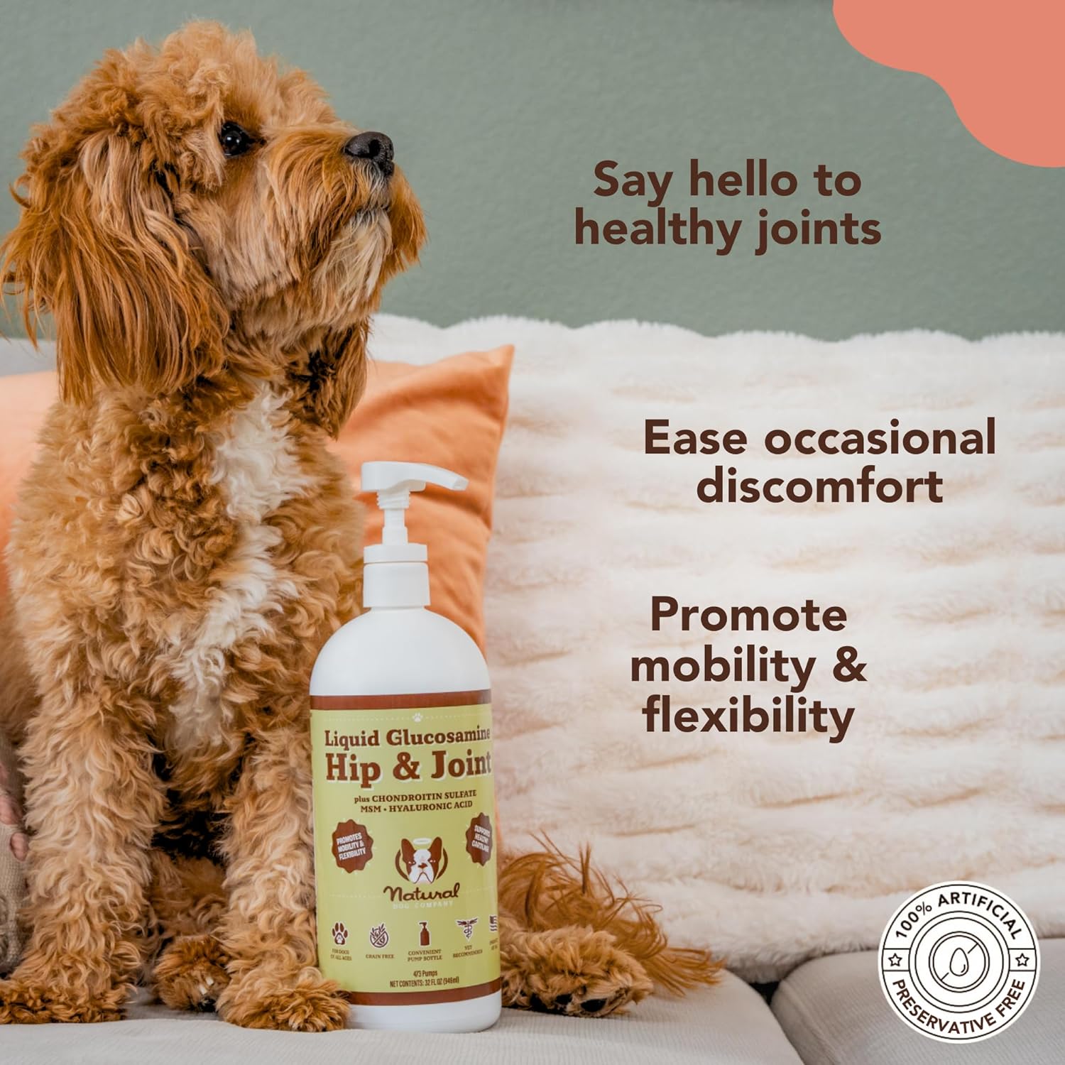 Healthy Joints, Skin and Coat Bundle for Dogs, Includes (1) 16 oz Bottle Natural Dog Company Skin and Coat Oil, (1) 16 oz Bottle Liquid Glucosamine, Food Topper, Dog's Fish Oil Supplement : Pet Supplies