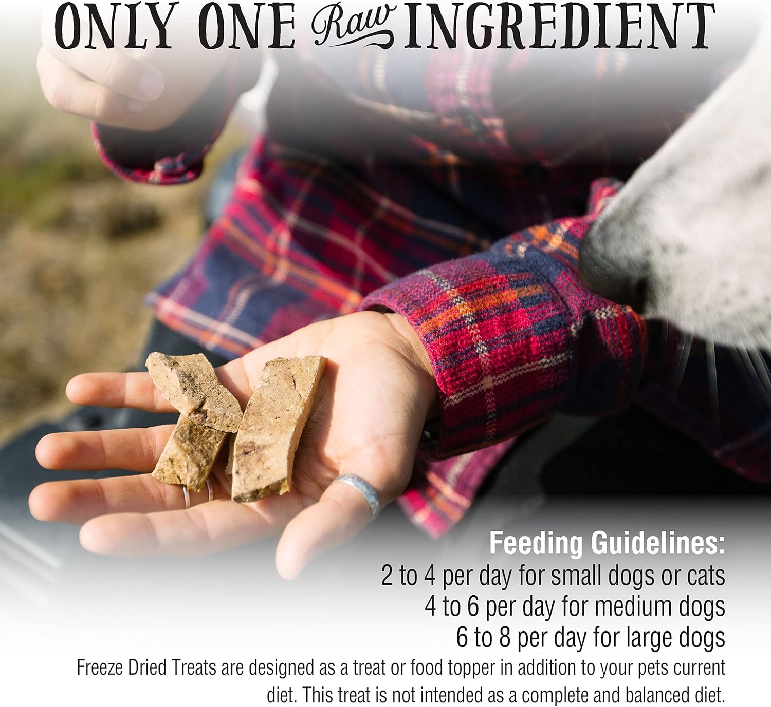 Northwest Naturals Raw Rewards Freeze-Dried Beef Heart Treats for Dogs and Cats - Bite-Sized Pieces - Healthy, 1 Ingredient, Human Grade Pet Food, All Natural - 3 Oz (Packaging May Vary) : Pet Supplies