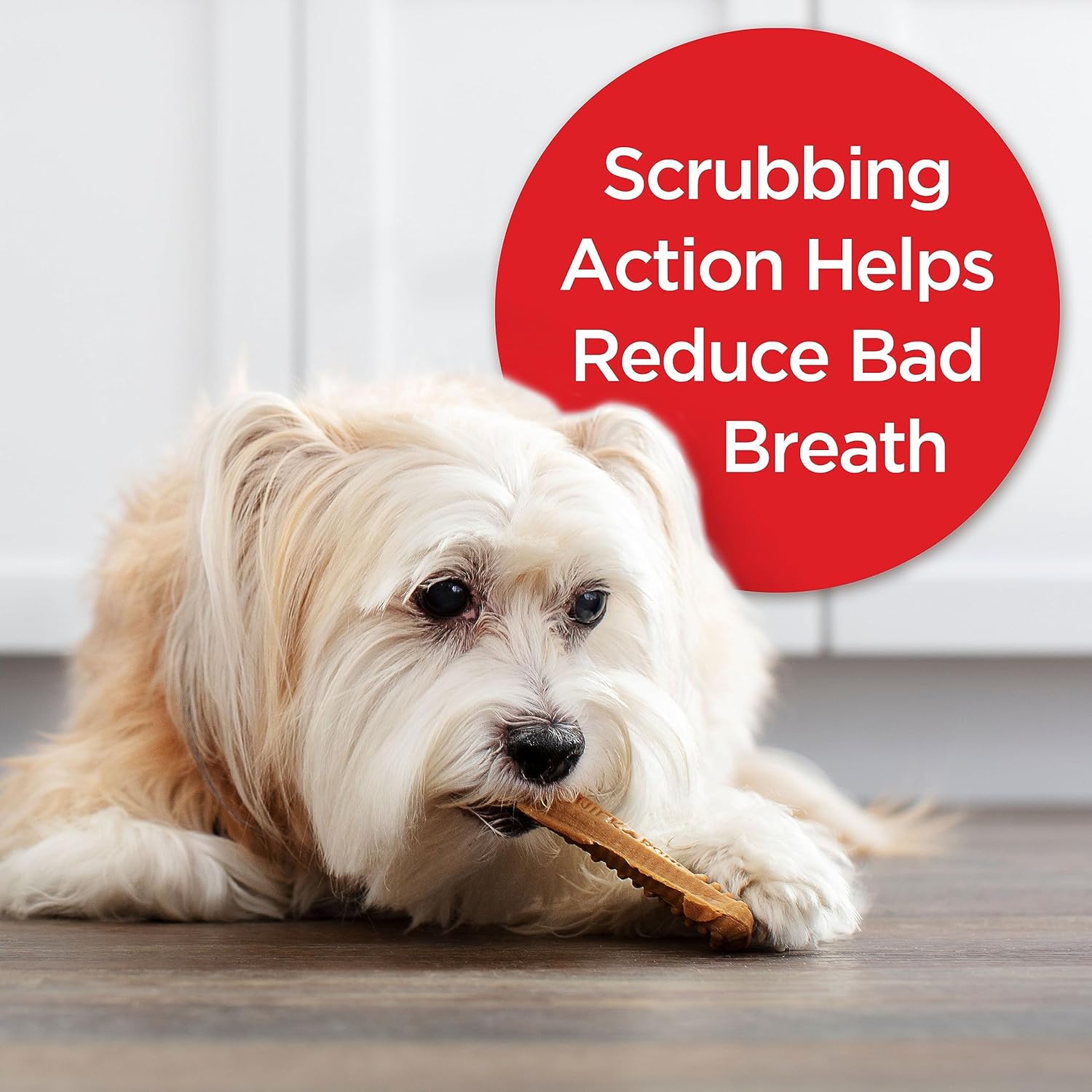 Milk-Bone Original Brushing Chews 48 Mini Daily Dental Dog Treats Scrubbing Action Helps Clean Teeth : Pet Supplies