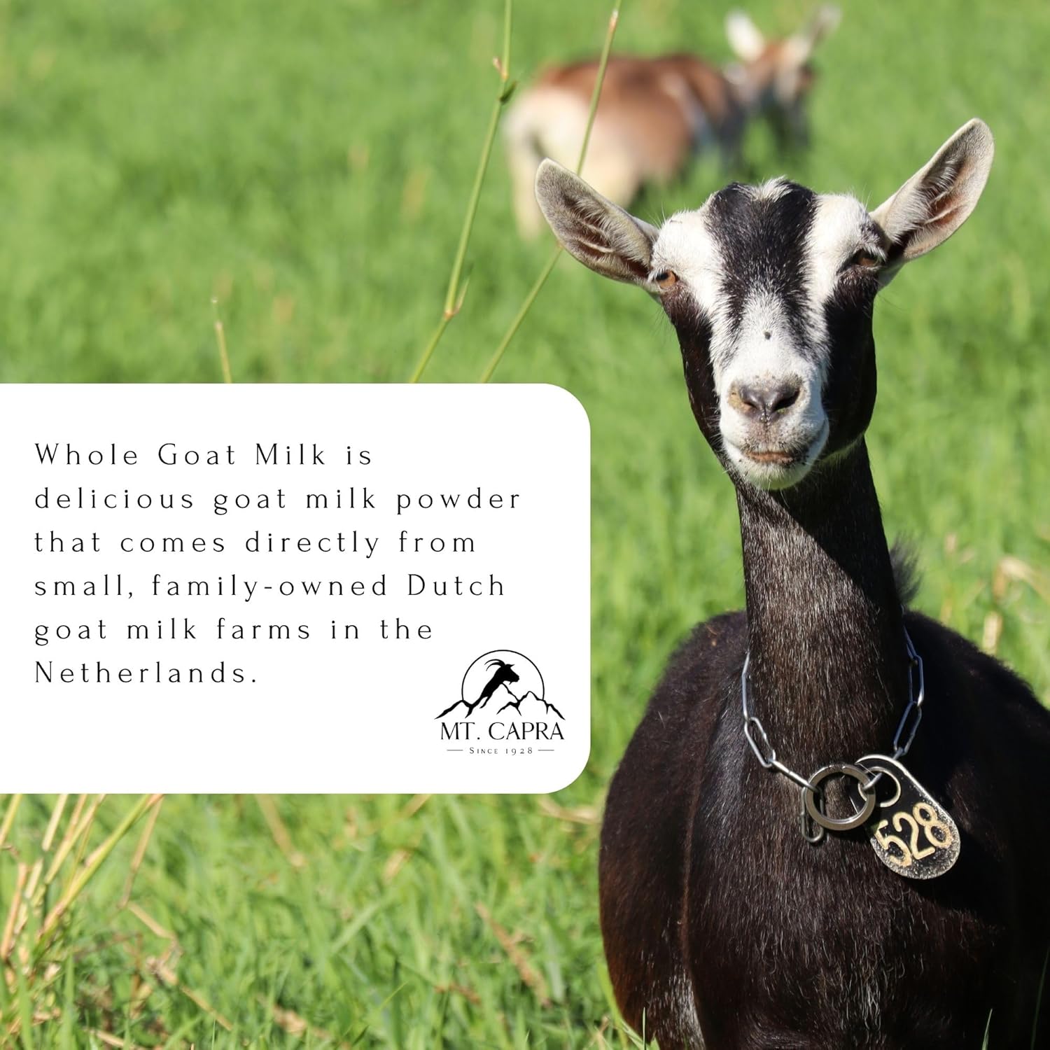 Mt. Capra Whole Goat Milk | From Non-Gmo, Grass-Fed Goats, Creamy, Great Tasting, Easy To Digest, A2 Milk | 16 Servings - 1 Pound : Grocery & Gourmet Food