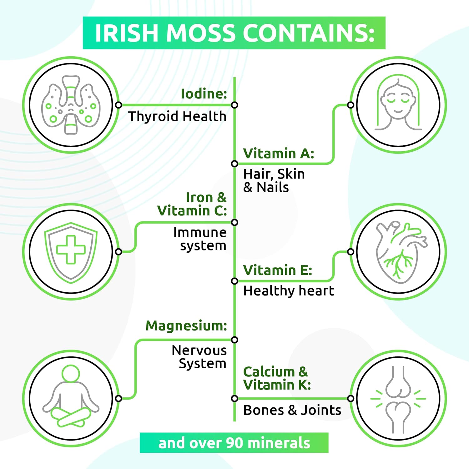 TrueSeaMoss Wildcrafted Irish Sea Moss Gel and Sea Moss Green Blend Nutritious Raw Seamoss Rich in Minerals, Proteins & Vitamins – Antioxidant Health Supplement, Vegan-Friendly Made in USA : Health & Household