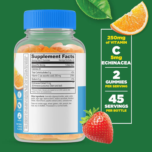 Lifeable Sugar Free Vitamin C ? 250 mg ? with Echinacea ? Great Tasting Natural Flavor Gummy Supplement ? Vegetarian GMO-Free Chewable Vitamins ? for Immune Support ? for Adults ? 90 Gummies