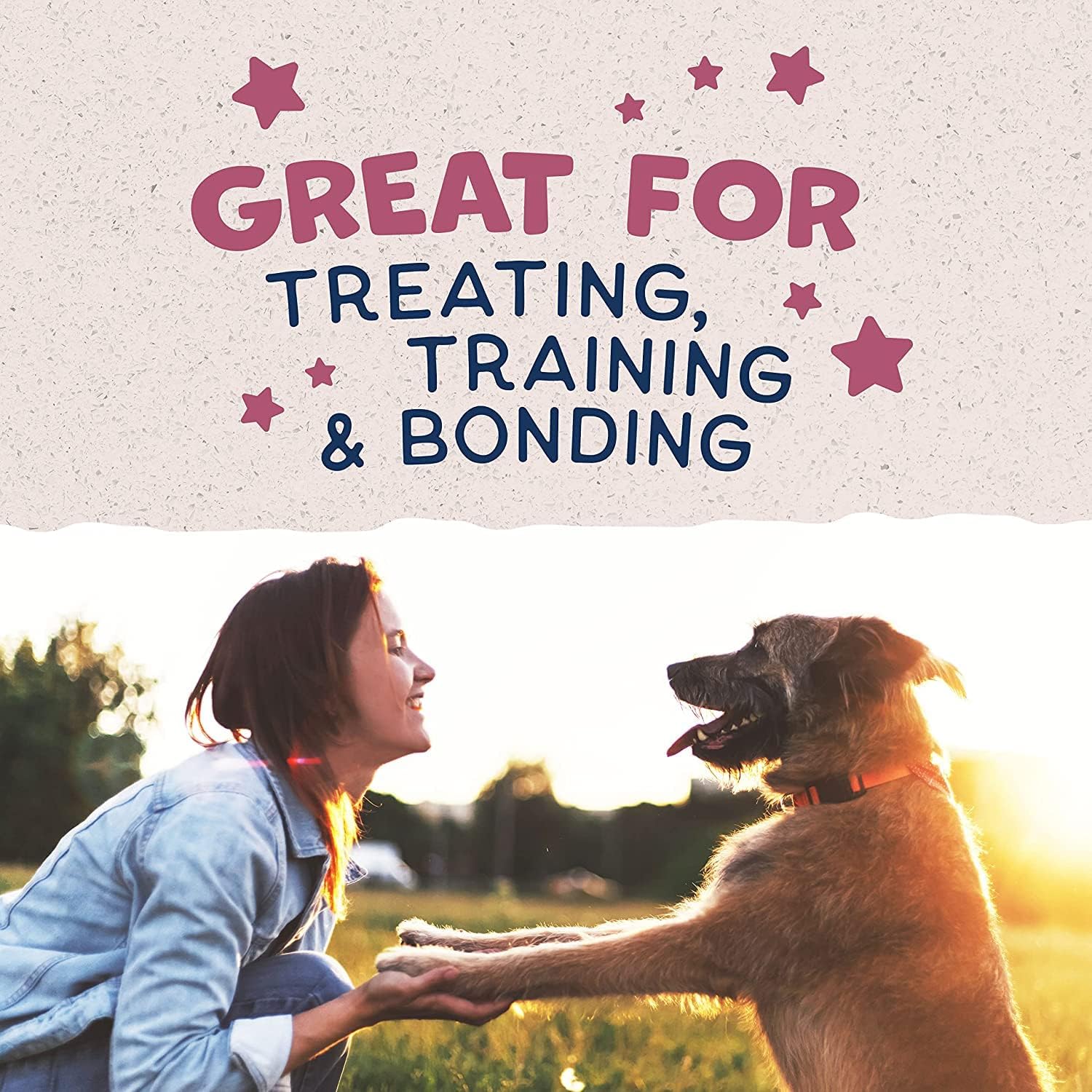 Natural Balance Limited Ingredient Rewards Jumpin' Stix, Grain-Free Dog Treats for Adult Dogs of All Breeds, Venison Recipe, 4 Ounce (Pack of 1) : Pet Supplies