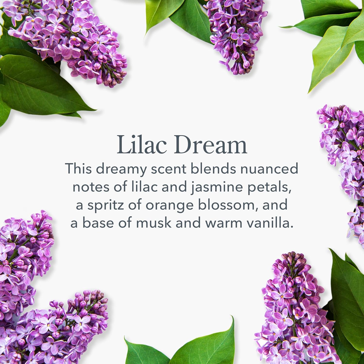 Beekman 1802 Lilac Dream Goat Milk Soap 3-Piece Set - 3.5 Oz Each - Scented - Cleanses & Hydrates - With 100% Vegetable Base & Botanical Oils - Triple Milled - Good For Sensitive Skin - Cruelty Free : Beauty & Personal Care