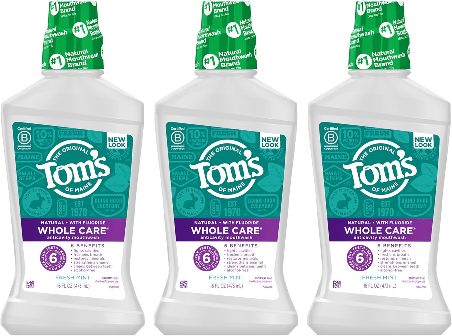 Tom'S Of Maine Whole Care Natural Fluoride Mouthwash, Fresh Mint, 16 Oz (Pack Of 3) (Packaging May Vary)