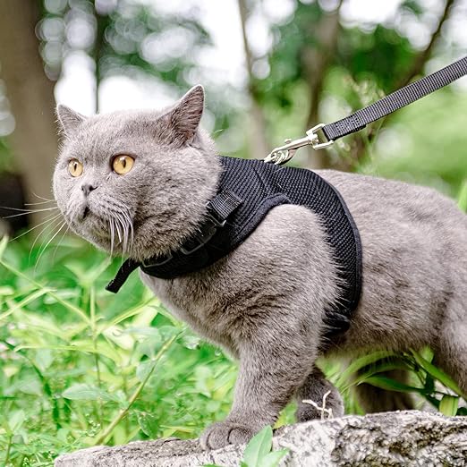 PUPTECK Escape Proof Cat Harness with Leash Adjustable Soft Mesh - Best for Walking