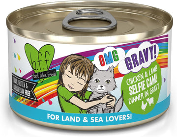 Weruva B.F.F. Omg - Best Feline Friend Oh My Gravy!, Selfie Cam! With Chicken & Lamb In Gravy Cat Food, 2.8Oz Can (Pack Of 12)