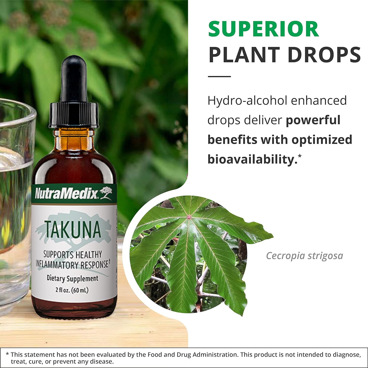NutraMedix Takuna Drops - Liquid Immune System Support Supplement - Bioavailable, Fast Absorbing Herb Extract from Wild Harvested Peruvian Cecropia Strigosa Bark Extract (1 oz / 30 ml) : Health & Household