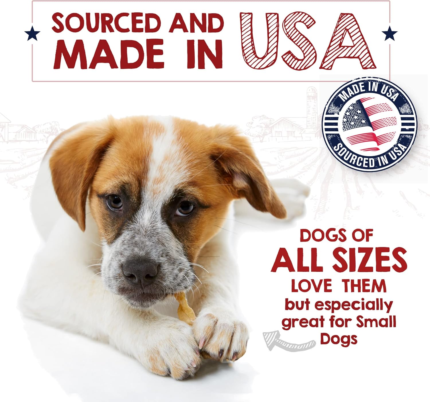 Riley's Turkey Tendons for Dogs Made in The USA & Sourced in The USA - Single Ingredient Dog Treats - All Natural Turkey Tendon Chews for Dogs - 4 oz : Pet Supplies
