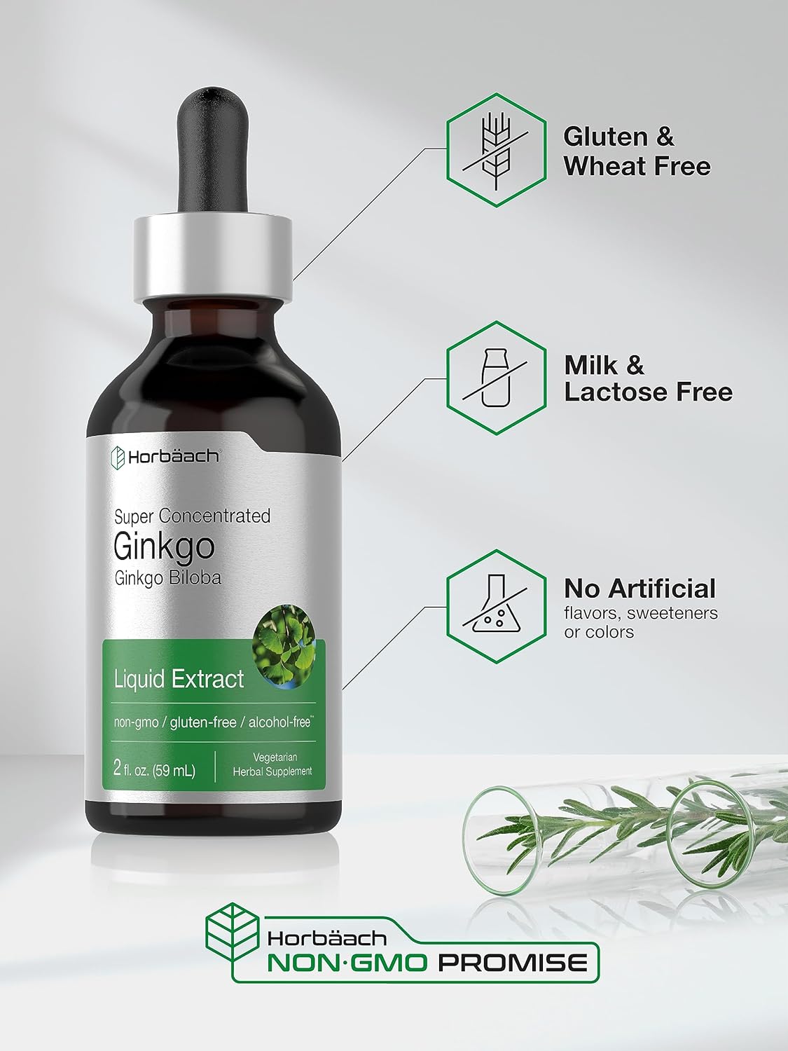 Horbäach Ginkgo Biloba Extract Liquid 2 fl oz | Alcohol-Free Herb Supplement | Vegetarian, Non-GMO, Gluten Free : Health & Household