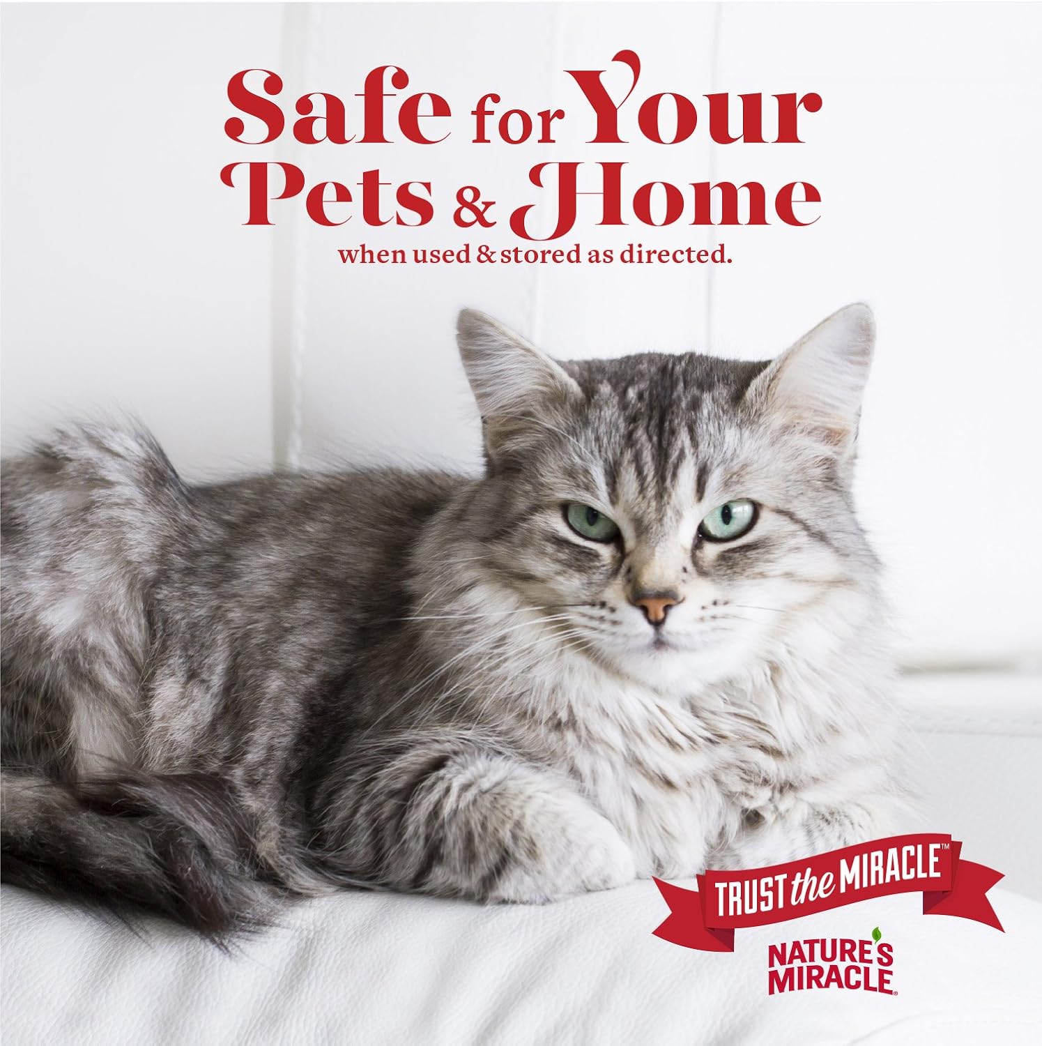 Nature's Miracle Advanced Cat Stain and Odor Eliminator Spray, Severe Mess Enzymatic Formula, Sunny Lemon Scent, 1 gal