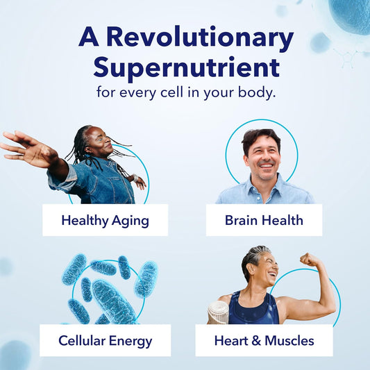 Tru Niagen Patented Nad Supplement For Anti Aging And Cell Regeneration, Niagen, 60 300 Mg Servings | Supports Cellular Energy, Brain, Muscle | Nicotinamide Riboside (Nr) Take 2 Daily | 2 Bottles