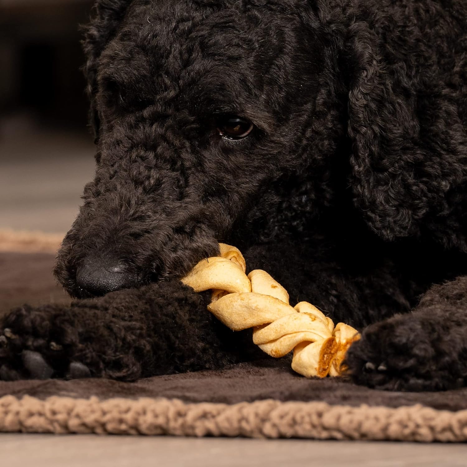 Pet Factory American Beefhide 6" Braided Sticks Dog Chew Treats - Chicken Flavor, 14 Count/1 Pack : Pet Supplies