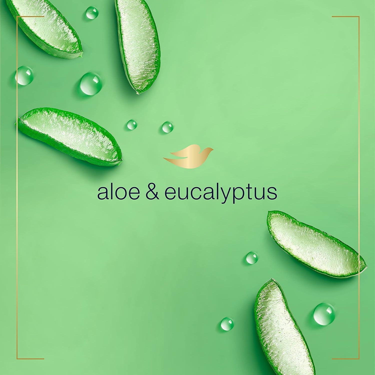 Dove Foaming Hand Wash 4 Count Aloe & Eucalyptus Protects Skin From Dryness, More Moisturizers Than The Leading Ordinary Hand Soap, 10.1 Oz : Beauty & Personal Care