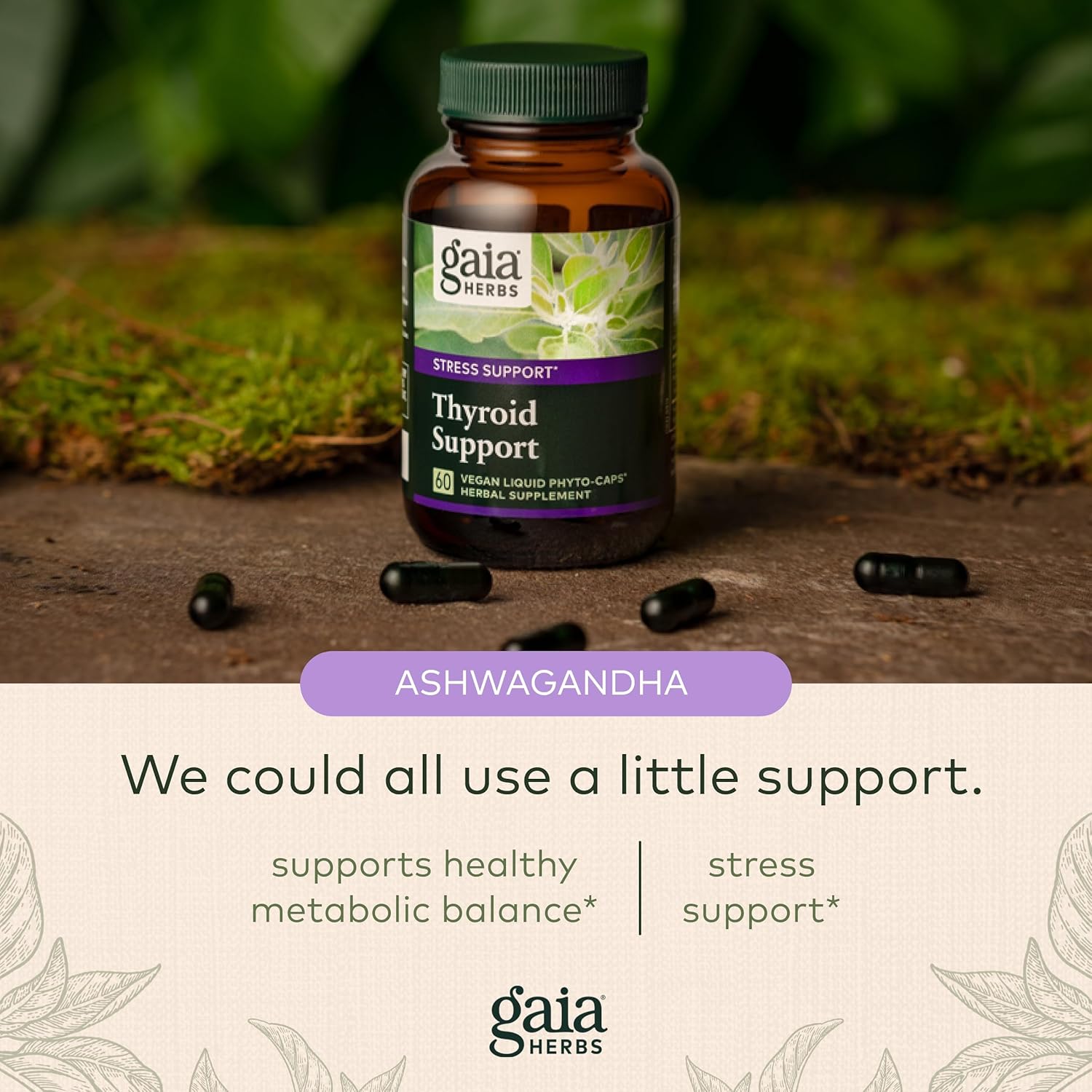 Gaia Herbs Thyroid Support - Made with Ashwagandha, Kelp, Brown Seaweed, and Schisandra to Support Healthy Metabolic Balance and Overall Well-Being - 60 Vegan Liquid Phyto-Capsules (20-Day Supply) : Health & Household