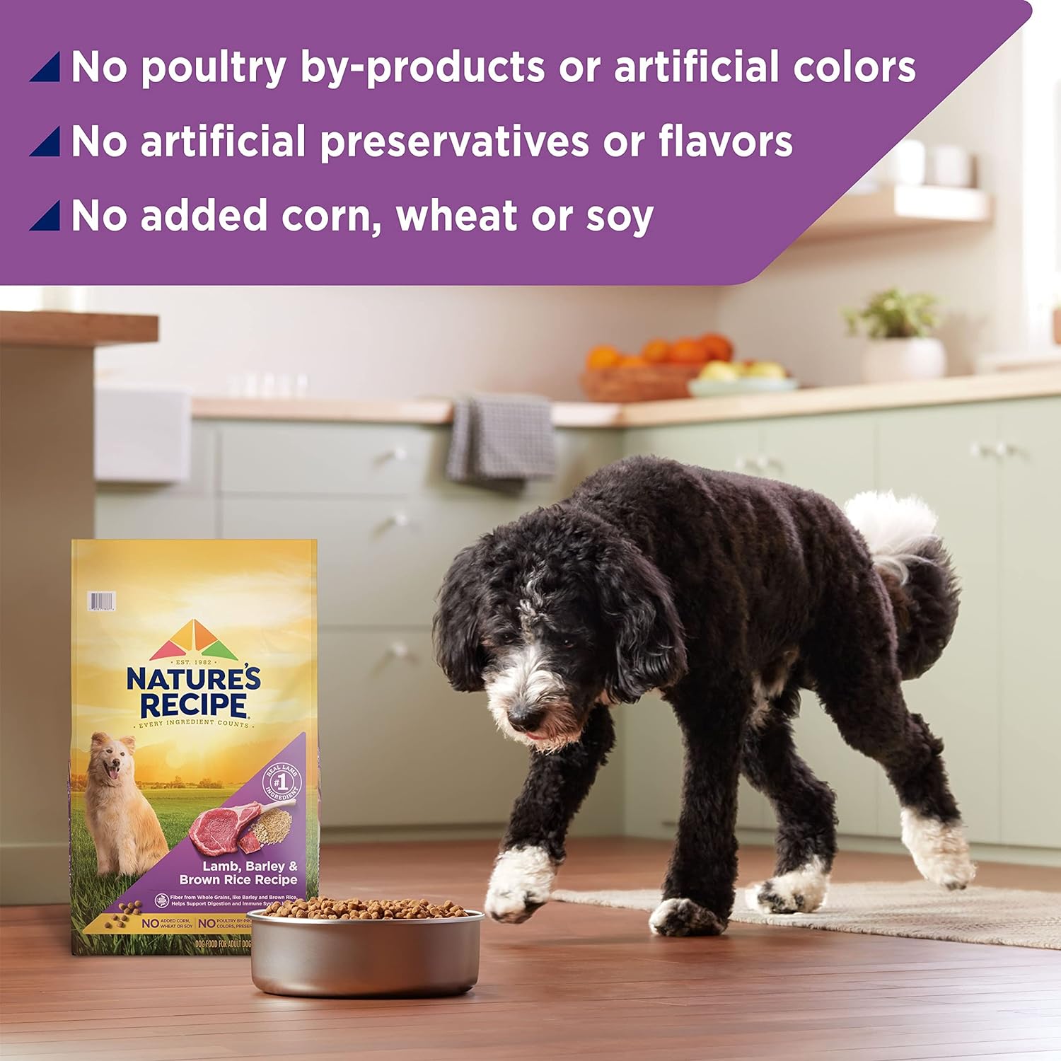 Nature?s Recipe Lamb, Barley & Brown Rice Recipe Dry Dog Food, 24 lb. Bag : Pet Supplies