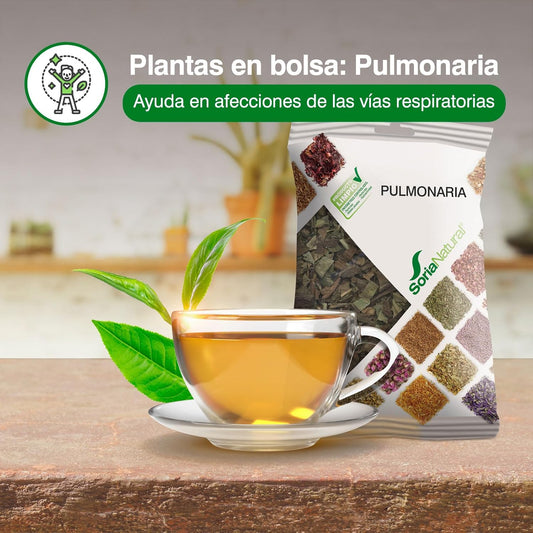 Ijsalut – Pulmonary Leaf 25 G Soria Natural 25 G