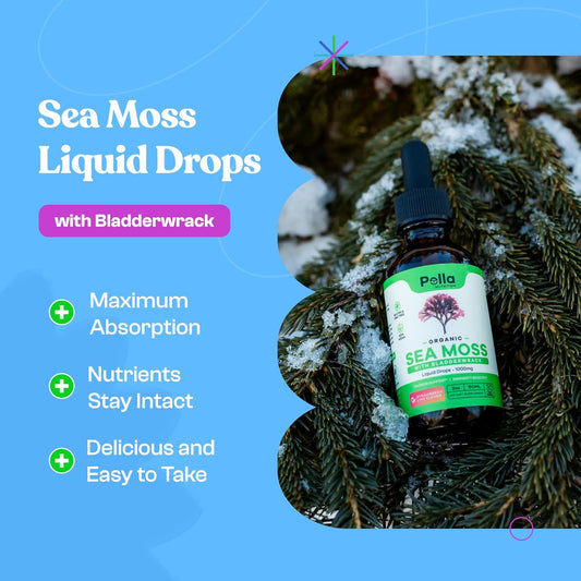 Organic Sea Moss Drops - 1000Mg Irish Sea Moss - 4X Stronger Than Sea Moss Gel, Capsules, And Gummies - Superfood Seamoss - Joint Support Supplement - Immune Support Supplement (Strawberry Lime, 60Ml)