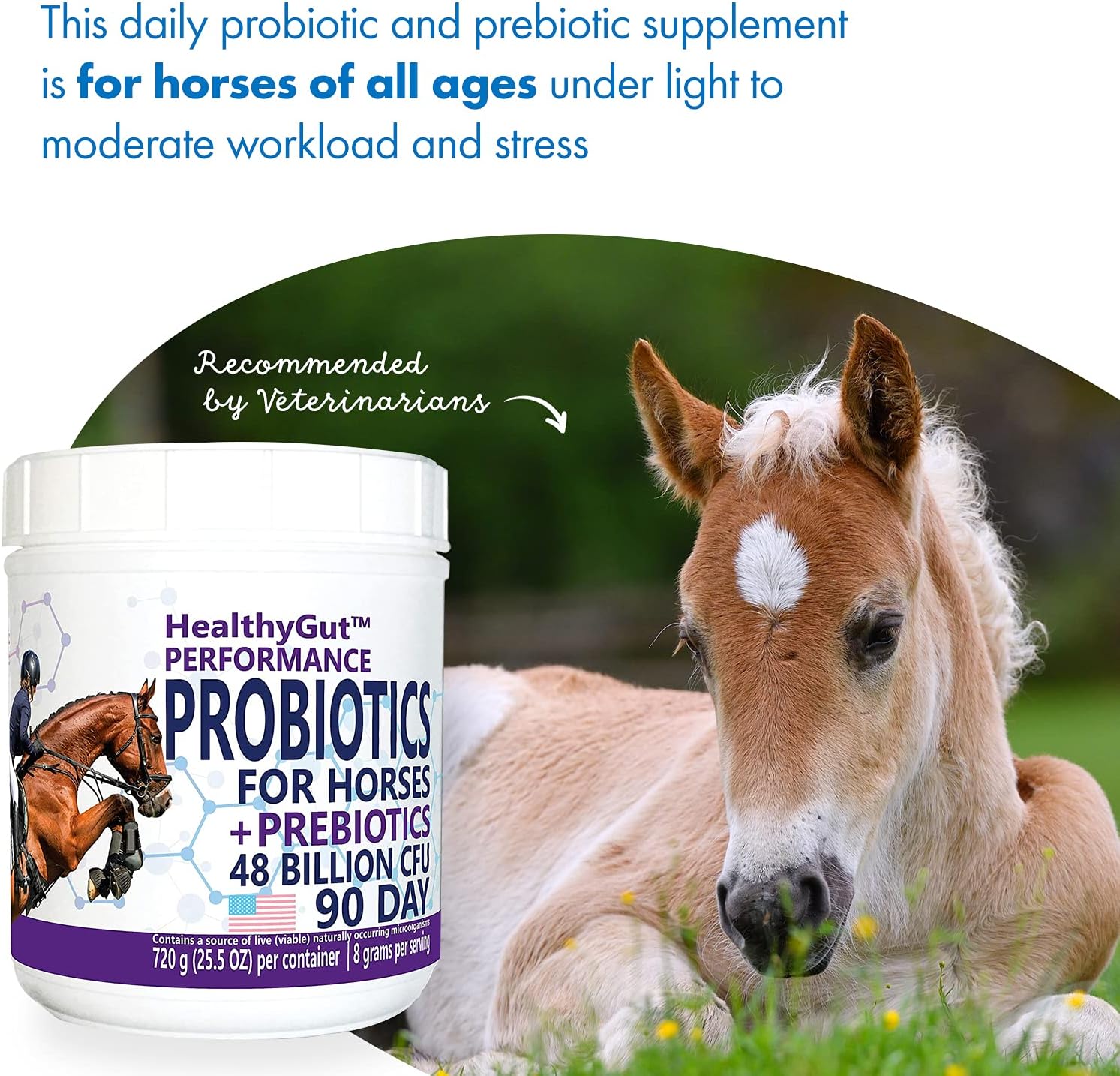 Healthygut™ Probiotics For Horses Dietary Supplement, All-Natural Digestive System Performance Formula (90 Days)