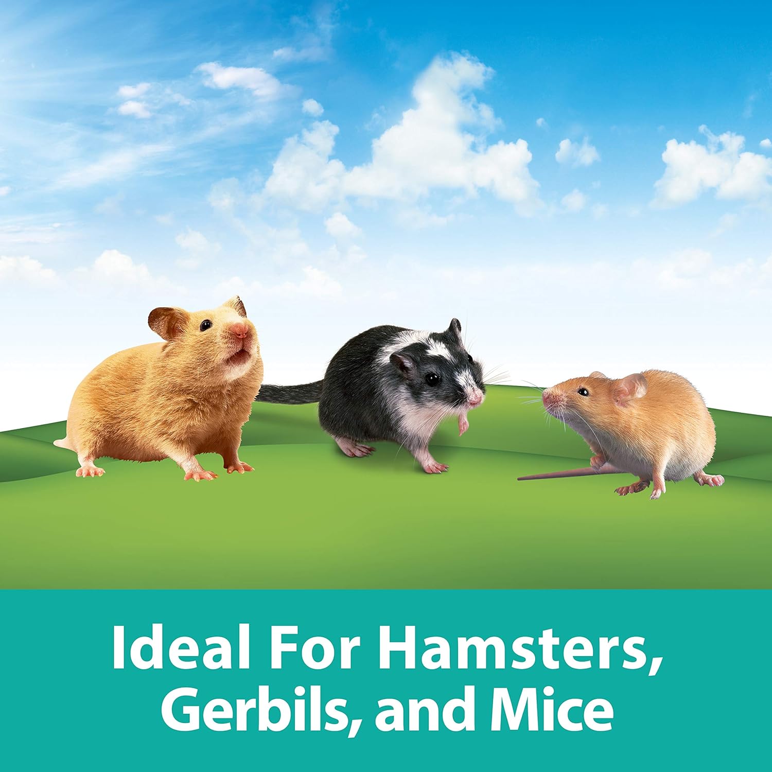 Kaytee CritterTrail Fun-nel 16-Piece Assorted Small Animal Habitat Tubes : Pet Habitat Tubes And Tunnels : Pet Supplies