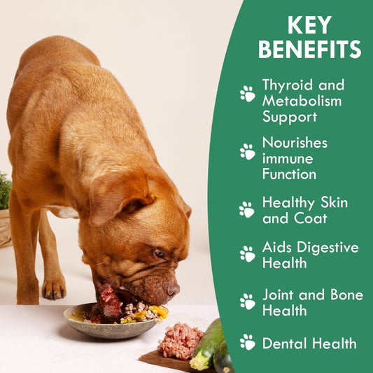 Canine Atlantic Sea Kelp For Dogs | All Natural Dog Food Topper For Digestive Health, Skin And Coat Health, And Immune Support | Rich In Vitamins, Minerals, And Calcium For Dogs (50G)