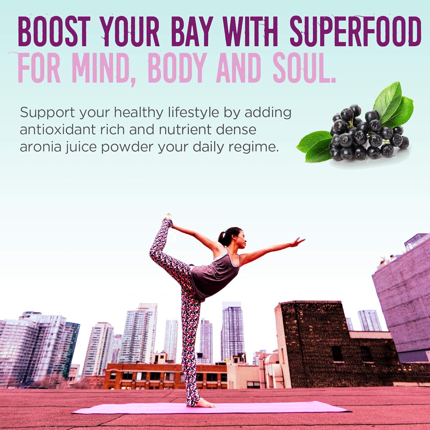 Alovitox Aronia Berry Powder | Antioxidant-Dense Juice Superfood With Dietary Fiber, Vitamins, Calcium, Iron, Boosts Immune System & Reduces Blood Pressure | Raw, Vegan, Non-Gmo, Gluten-Free | 16 Oz : Health & Household