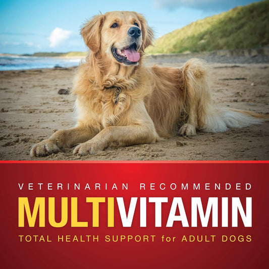 VetIQ Multivitamin Supplement for Dogs, Health Support Supplement Soft Chews, 90 Count