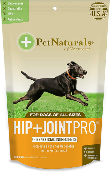 Pet Naturals Hip and Joint PRO with Glucosamine, Chondroitin and MSM for Dogs, 60 Chews