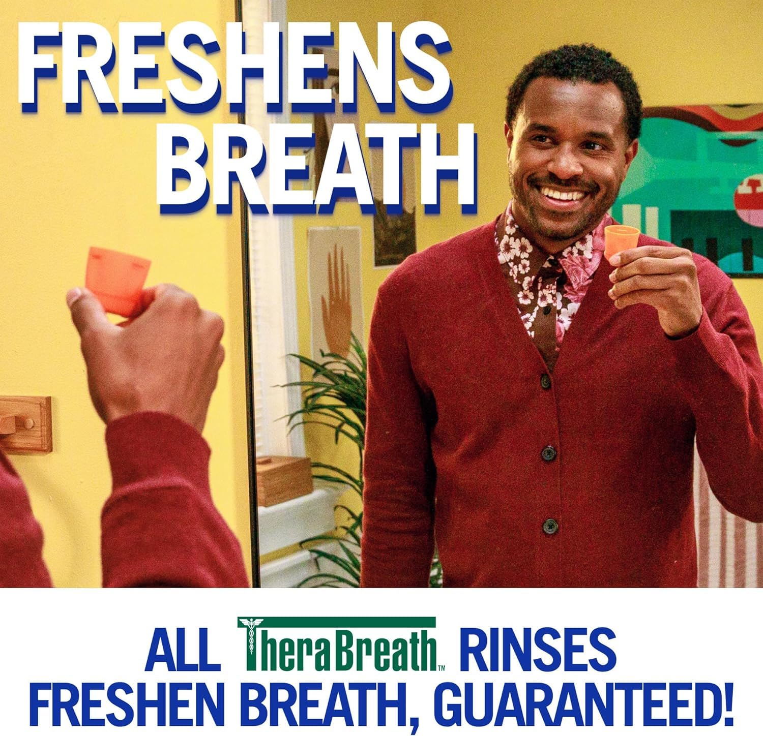 Therabreath Healthy Gums Mouthwash Clean Mint, Antigingivitis, Dentist Formulated, 16 Fl Oz (2-Pack) : Health & Household