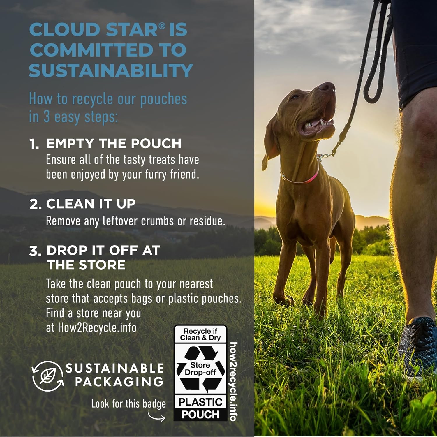 Cloud Star Tricky Trainers Soft & Chewy Dog Training Treats 14 oz Pouch, Salmon Flavor, Low Calorie Behavior Aid with 360 treats : Pet Snack Treats : Pet Supplies